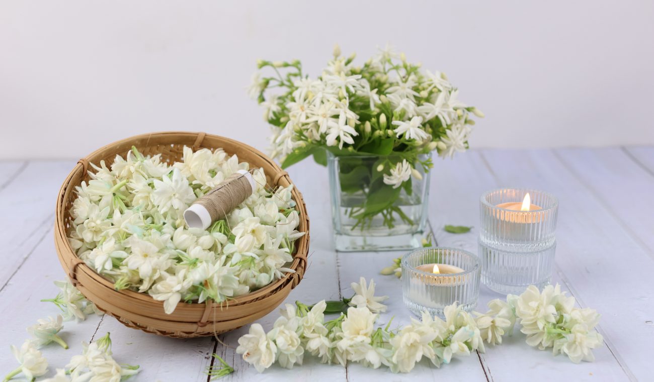 The Benefits of Jasmine Aromatherapy for Relaxation and Everyday Wellness